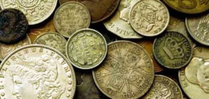 Edmonton Collections