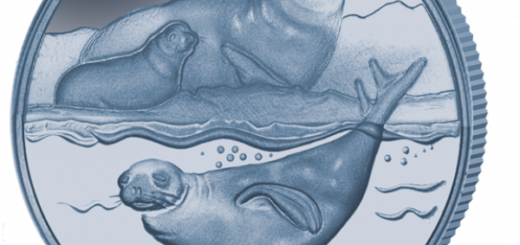 2017 Blue Titanium Crabeater Seal Coin