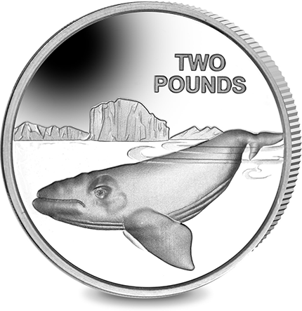  2017 British Antarctic Territory - Southern Right Whale Silver Coin from The Pobjoy Mint 