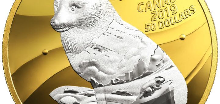 The 2019 “Arctic Fox” - “Inner Nature” Series