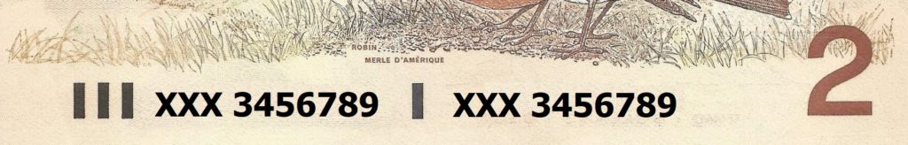 Ascending Ladder serial