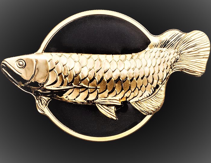 Palau Dragonfish Golden Arowana Silver Coin | Edmonton Collections